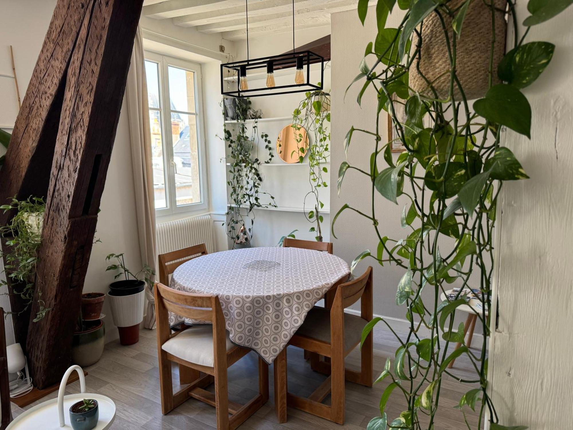 Appartement Central - Орлеан Екстериор снимка
