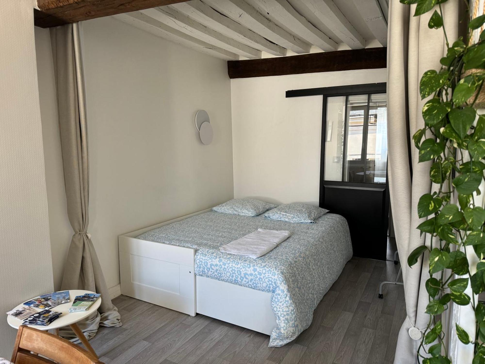 Appartement Central - Орлеан Екстериор снимка