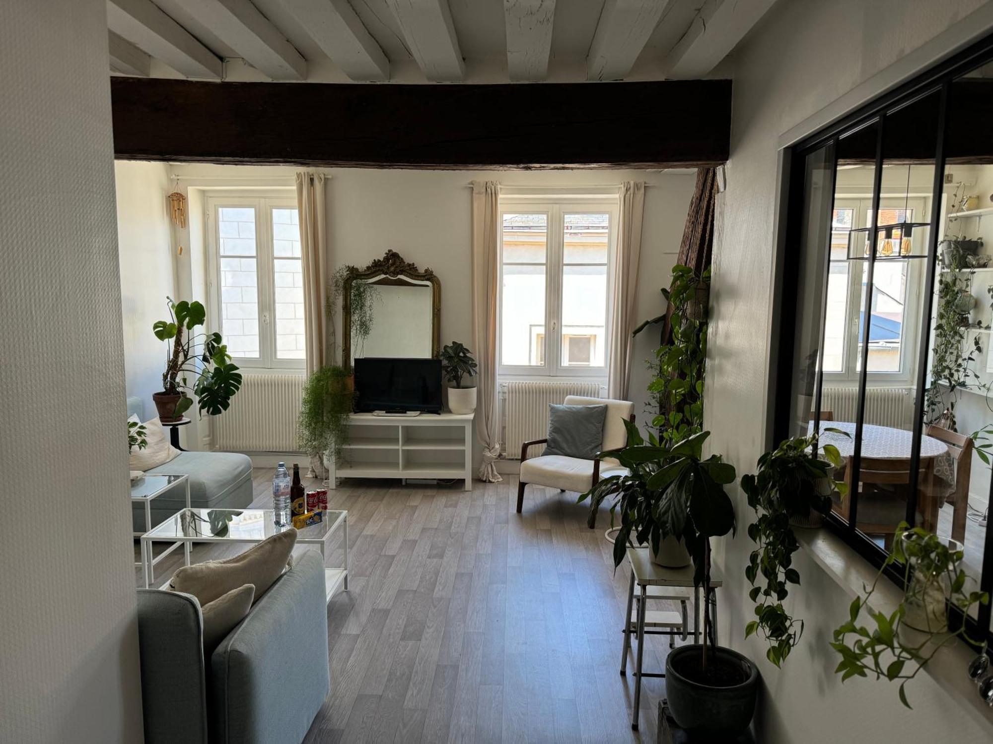 Appartement Central - Орлеан Екстериор снимка